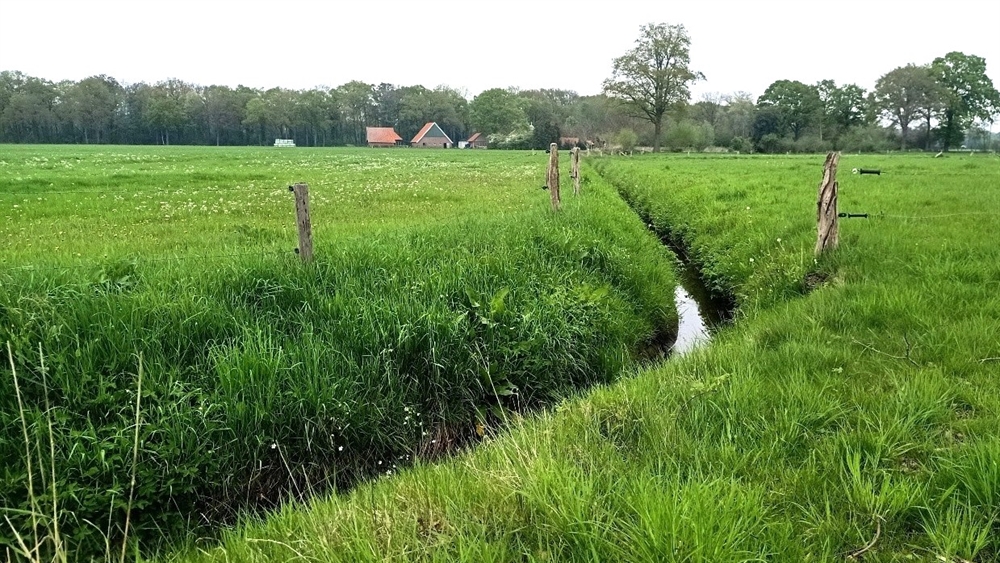 Oppervlaktewaterlozing in het buitengebied